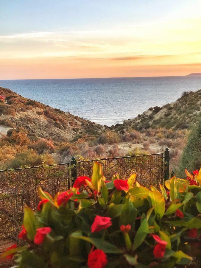 La Favorita Villa Alicante